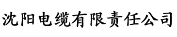 韩国香蕉电影电缆厂logo